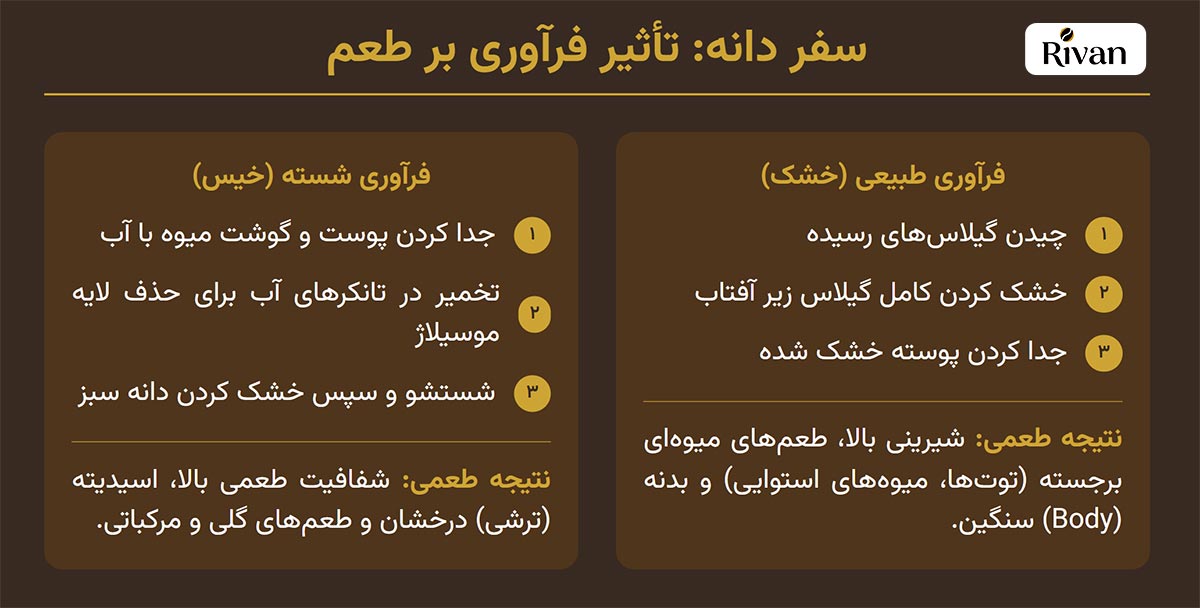 روش فرآوری قهوه اتیوپی Ethiopian coffee processing methods روش فرآوری قهوه اتیوپی