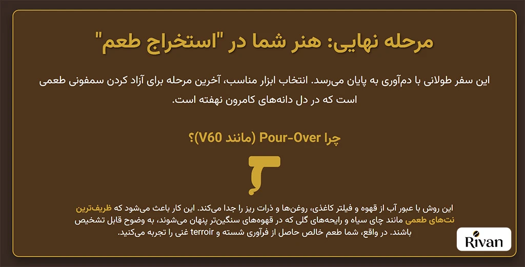 دم آوری قهوه عربیکا کامرون
