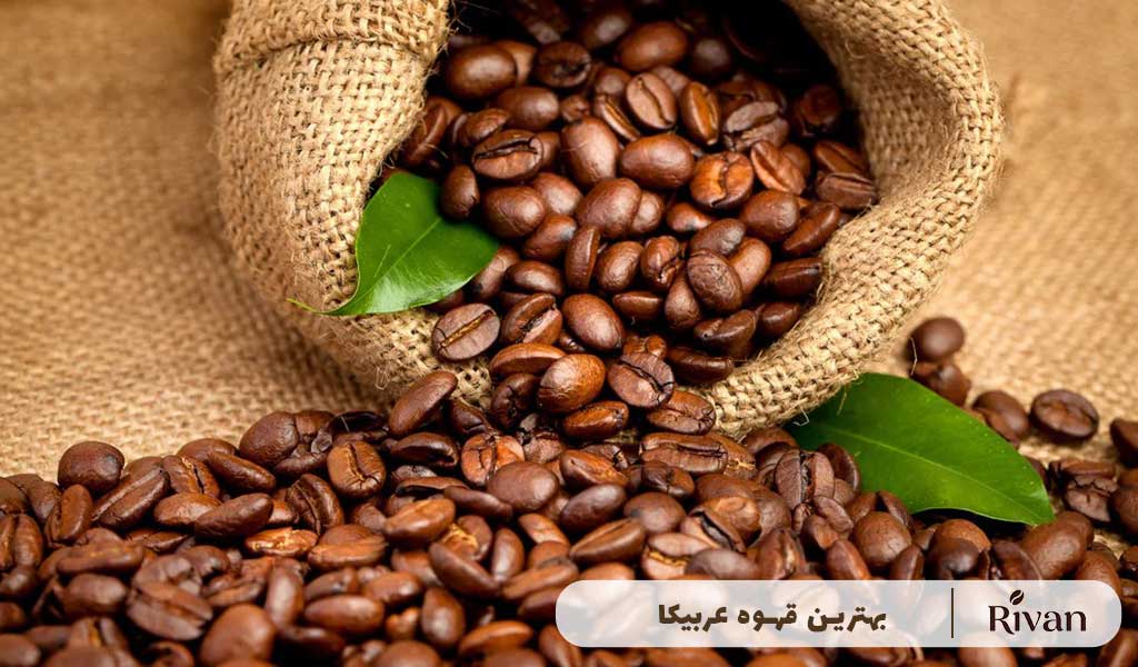 بهترین قهوه عربیکا