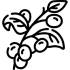 قهوه عمده