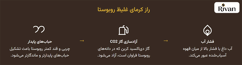راز کرمای قهوه ربوستا
