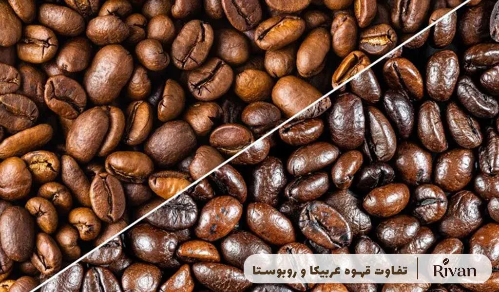 تفاوت قهوه عربیکا و ربوستا