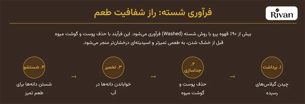 روش پردازش قهوه پرو